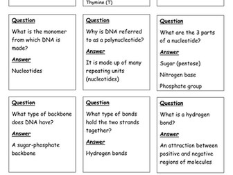 DNA & mitosis quiz, quiz trade cards