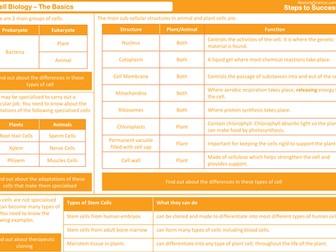 Cell Biology - The Basics