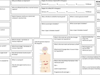 AQA B5 Homeostasis & Response revision broadsheets