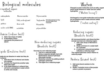AQA AS Biology Unit 1 Revision Notes