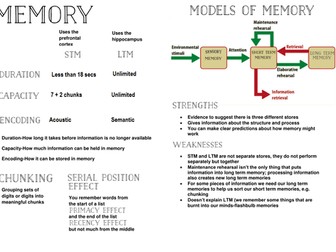 Psychology: Memory