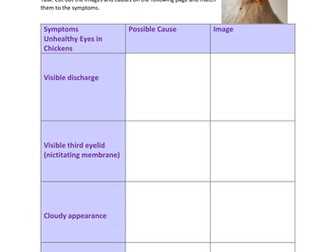 Eye Health Chickens  BTEC animal Care Unit 1