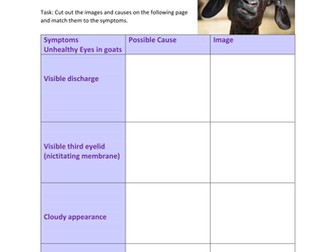 Eye health in goats. Weekly check