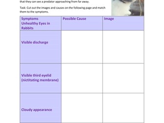 Eye health rabbits Unit 1 BTEC Animal Care