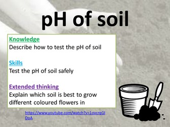Testing pH of soil