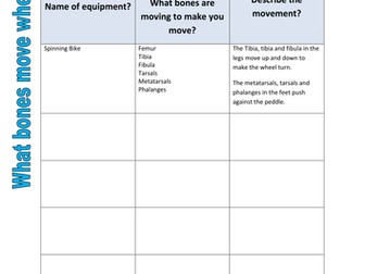 Skeletal System - What bones move when? (Practical)