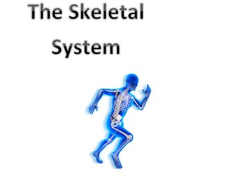 GCSE PE - The Skeletal System Revision Booklet