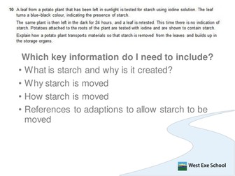Hormone control of metabolic rate