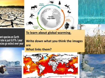 global warming deforestation and peat bogs