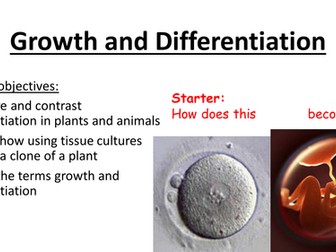 Growth and differentiation