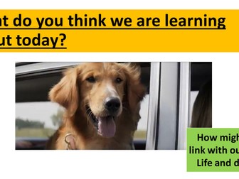 Reincarnation - Hinduism