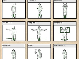 Cricket Umpire Signals