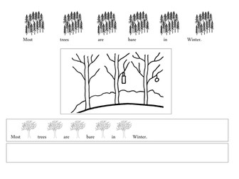 Winter/Christmas Cursive Handwriting.