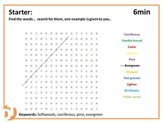 Basic of Softwood and Hardwood