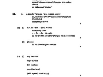 KS3 Photosynthesis and Respiration