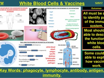 Human Defence Systems, White Blood Cells, Vaccination | AQA B1 4.3 | New Spec 9-1 (2018)