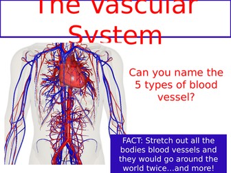 AQA A level PE 2016 spec - The Vascular system and blood pressure