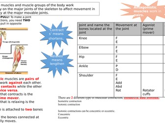AQA GCSE PE 2016 GRADES 9-1 muscles and movement