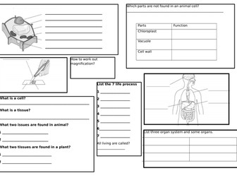 year 7 Cells revision mat