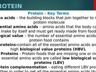 Protein Revision -  Food Preparation and Nutrition