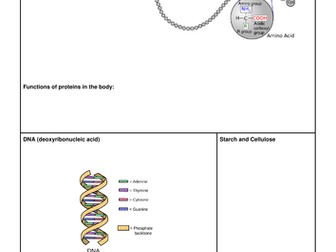 AQA GCSE Chemistry Organic Chemistry worksheets and activities
