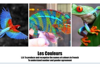 Les Couleurs