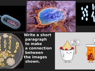 A-Level Topic 2.2.1: Prokaryotic Cells (2 lessons)