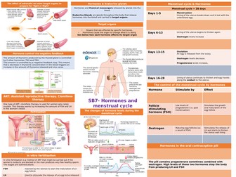 Knowledge organiser SB7 Edexcel Hormones and homeostasis