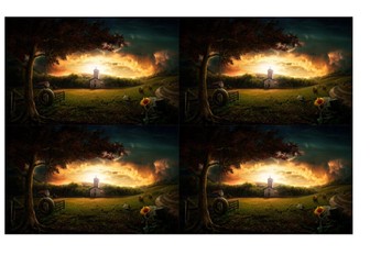 Setting description image for WAGOLL Model