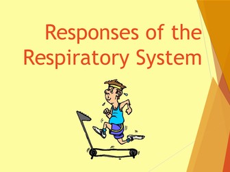 Short and Long Term Effects of Exercise on the Respiratory System