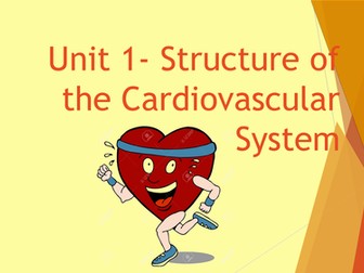 The Cardiovascular System PowerPoint