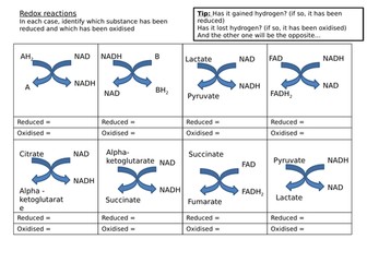 A Level Biology Redox reactions