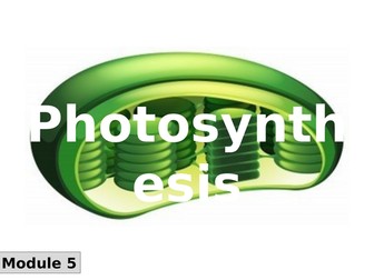 Photosynthesis - OCR
