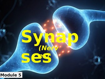 Synapses - OCR