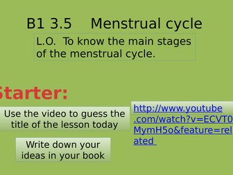 Menstrual cycle