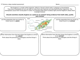 Classifying cells, literacy assessment