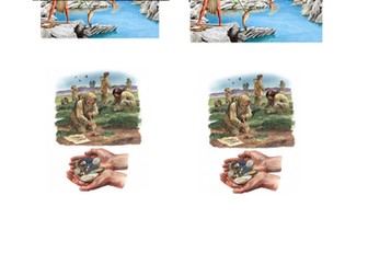 The STone Age 5 LESSONS + resources