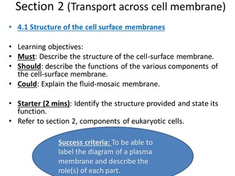 AS Biology transport across cell membrane_structure of the cell membrane