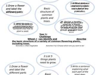 Year 1 - Science Challenge Wheels for all topics