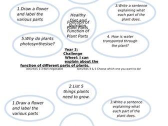 Year 3 - Science Assessment Challenge Wheels for all topics.