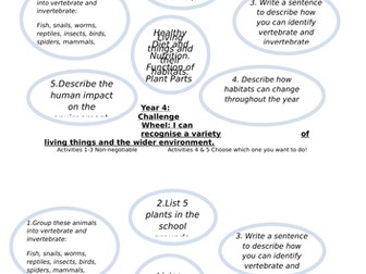 Year 4 - Science Assessment Challenge Wheels for all topics