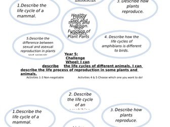 Year 5 - Science Assessment Challenge Wheels for all topics