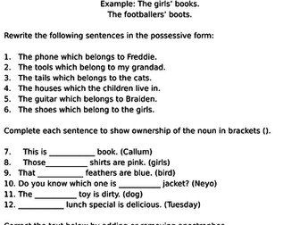 Possessive Apostrophe Lesson with differentiated worksheets