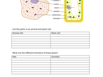 Cell structure revision pack