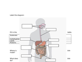 Organisation revision pack