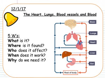Synergy - Transport over larger distances
