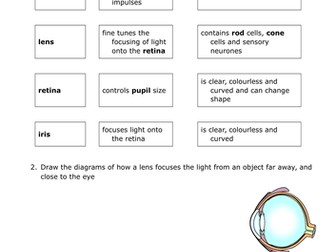 The Eye for GCSE Biology