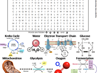 Cellular Respiration Word Search