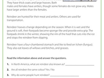 Reading Comprehension - Reindeer