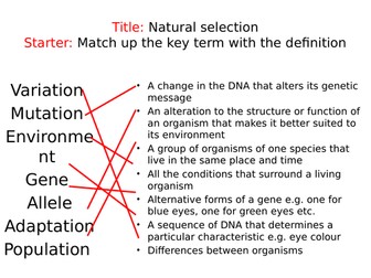 Natural Selection Powerpoint